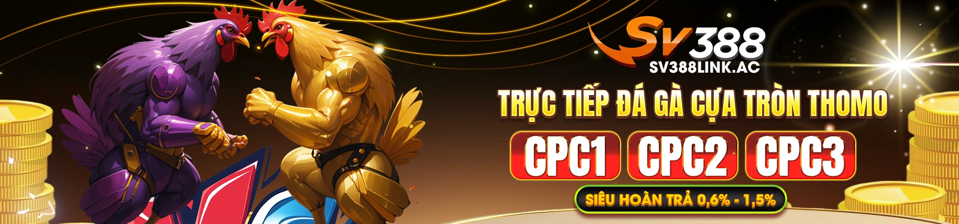 banner-SV388