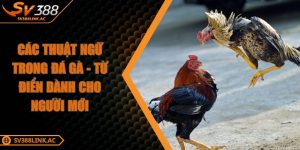 cac-thuat-ngu-trong-da-ga