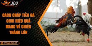 cach-chap-tien-ga-choi