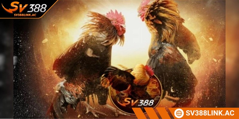 Ghi nhớ những lưu ý cần thiết để đảm bảo quá trình luôn suôn sẻ