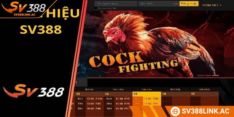 Mở rộng cộng đồng thành viên sư kê mỗi ngày cực kỳ đông đảo