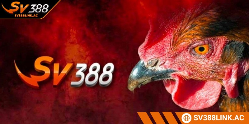 Giới thiệu SV388 với sứ mệnh và tầm nhìn phát triển mạnh mẽ