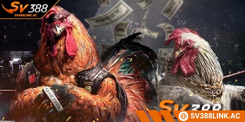 Giới thiệu hoàn thành sứ mệnh xuất sắc trong giới cược online