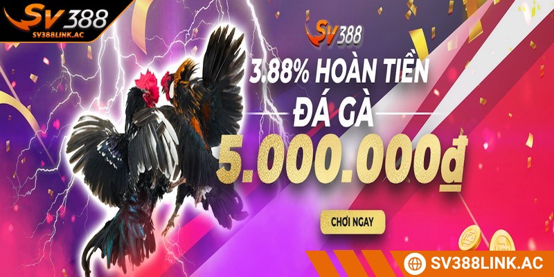 Khám phá hàng loạt khuyến mãi SV388 đang được triển khai