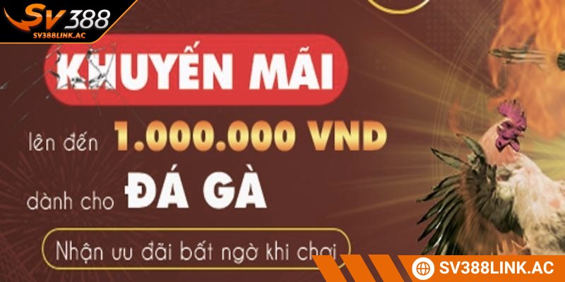 Thận trọng với một số điểm để quá trình sử dụng khuyến mãi được trọn vẹn