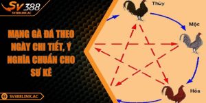 mang-ga-da-theo-ngay