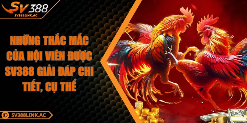 Những thắc mắc của hội viên được SV388 giải đáp chi tiết, cụ thể